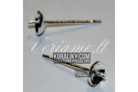(MD1672) Гвоздики