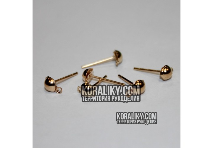 (MD1862) Гвоздики